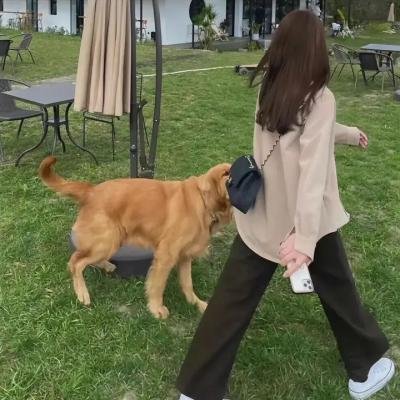 完美设陷